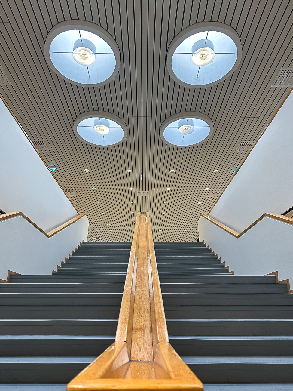 Ripplaed ja vaheseinad – Lärkan/Hoplaxskolan Gümnaasium Helsingis